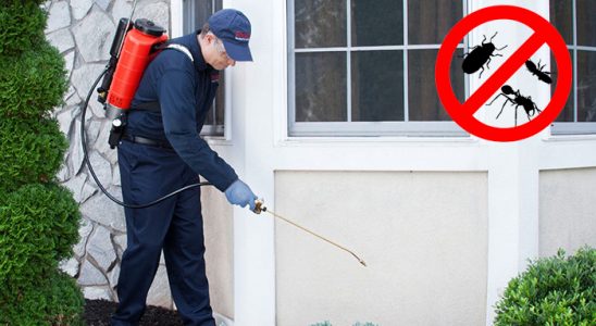 Göynük Hamam Böceği İlaçlama böcek ilaçlama ve haşere kontrolü — ilaclama-tr.com